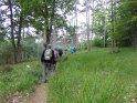 2018-05-24 10-38-10  Rando Fontainebleau FGn